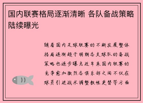 国内联赛格局逐渐清晰 各队备战策略陆续曝光
