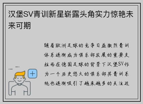 汉堡SV青训新星崭露头角实力惊艳未来可期